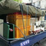 화정용달이사